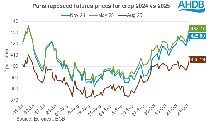 Chart Futures Paris rapeseed 31 10 202472